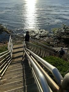 Sd Sunset Cliffs Natural Park Stairs to tide pools